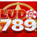 Ludo 789 Game