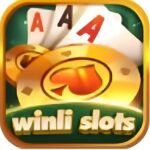 winli slots game